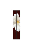 Left_Shoulder_2_c_17.jpg